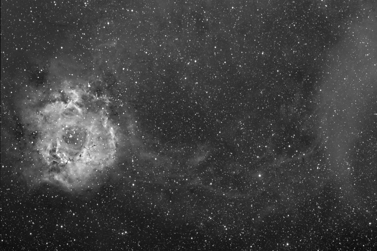 Rosette Nebula Widefield