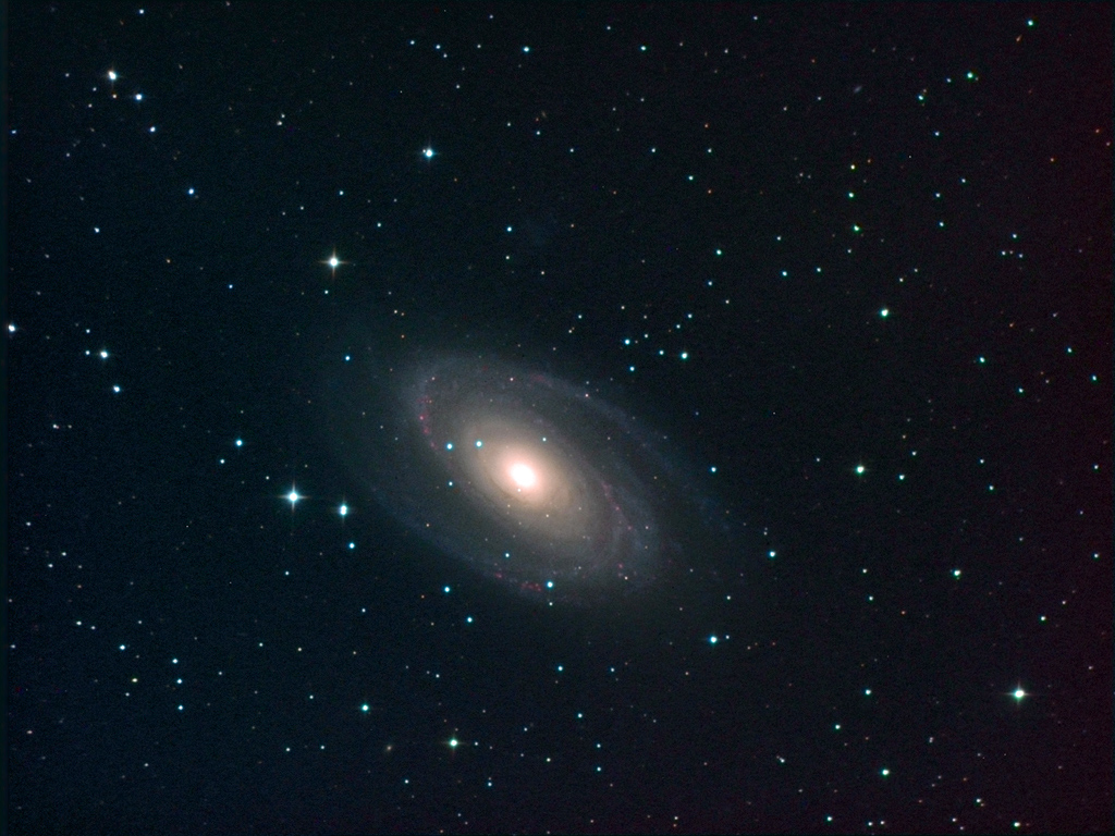 M81