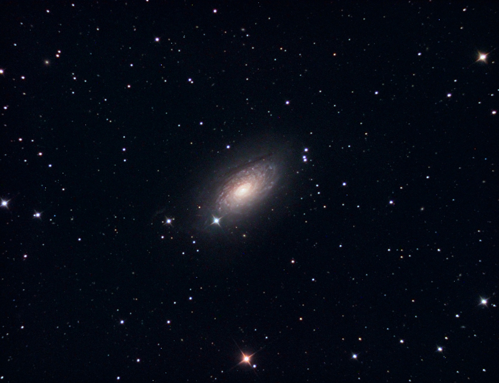 M63--The sunflower Galaxy