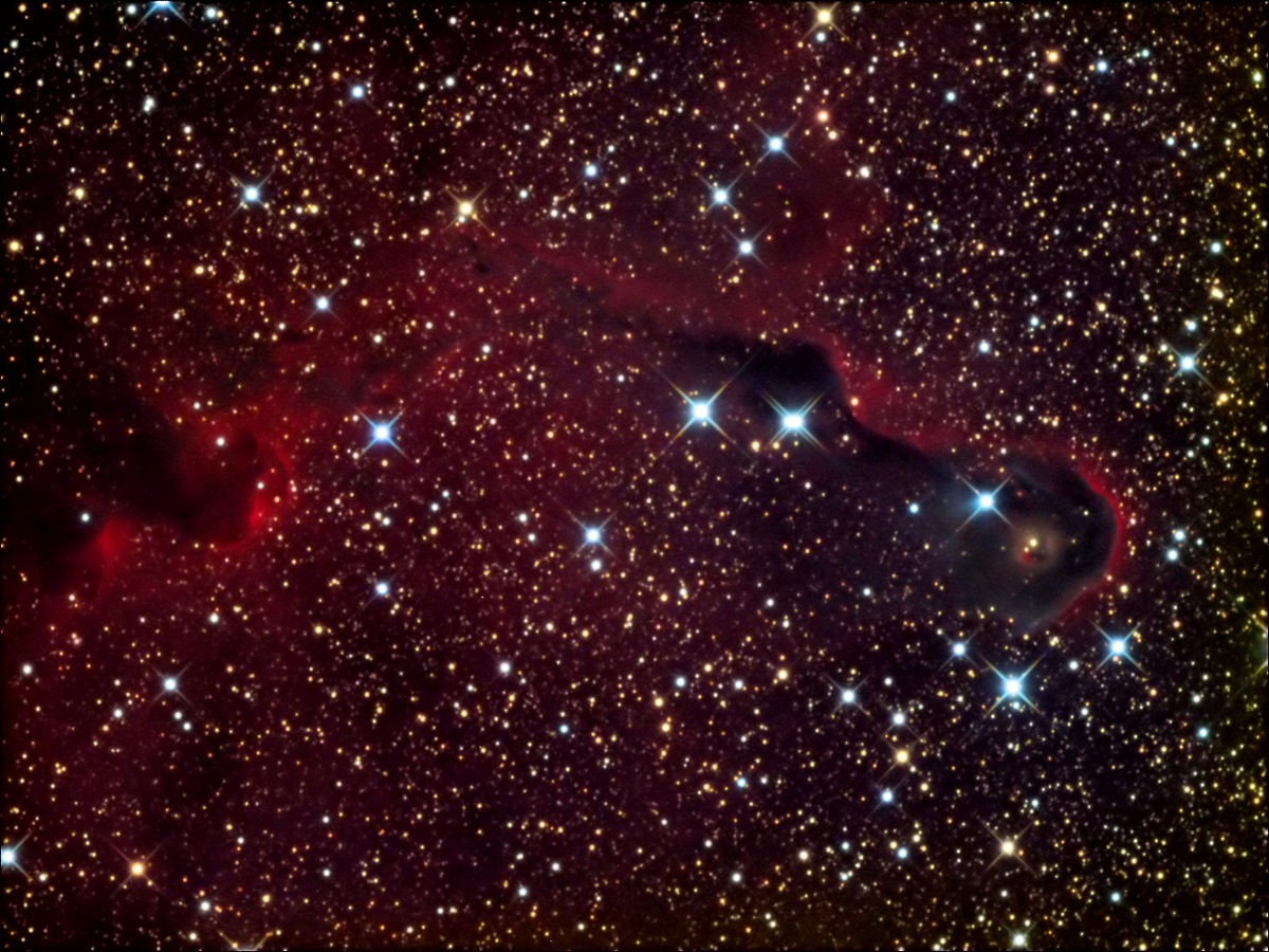 IC 1396A - Elephant Trunk Nebula in Cepheus