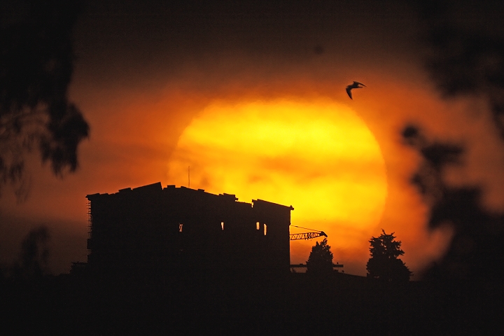Sol Rising Over the Parthenon