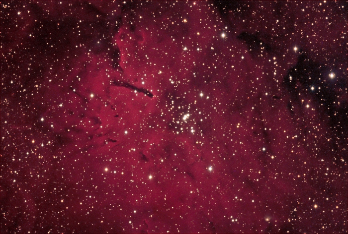 NGC 6823 - Open Cluster in Vulpecula