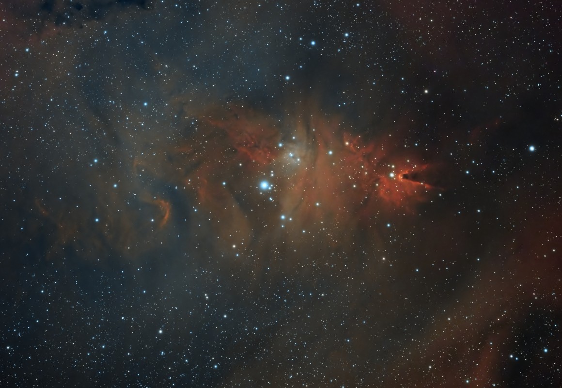 NGC 2264