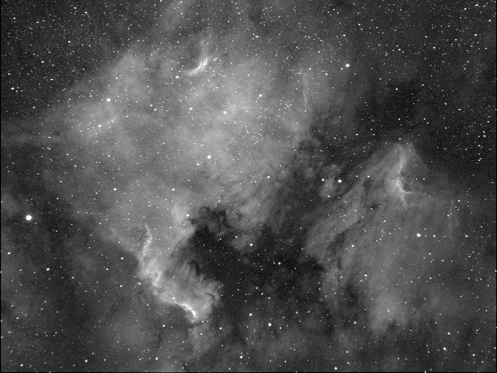 NGC7000 and Pelican in Ha