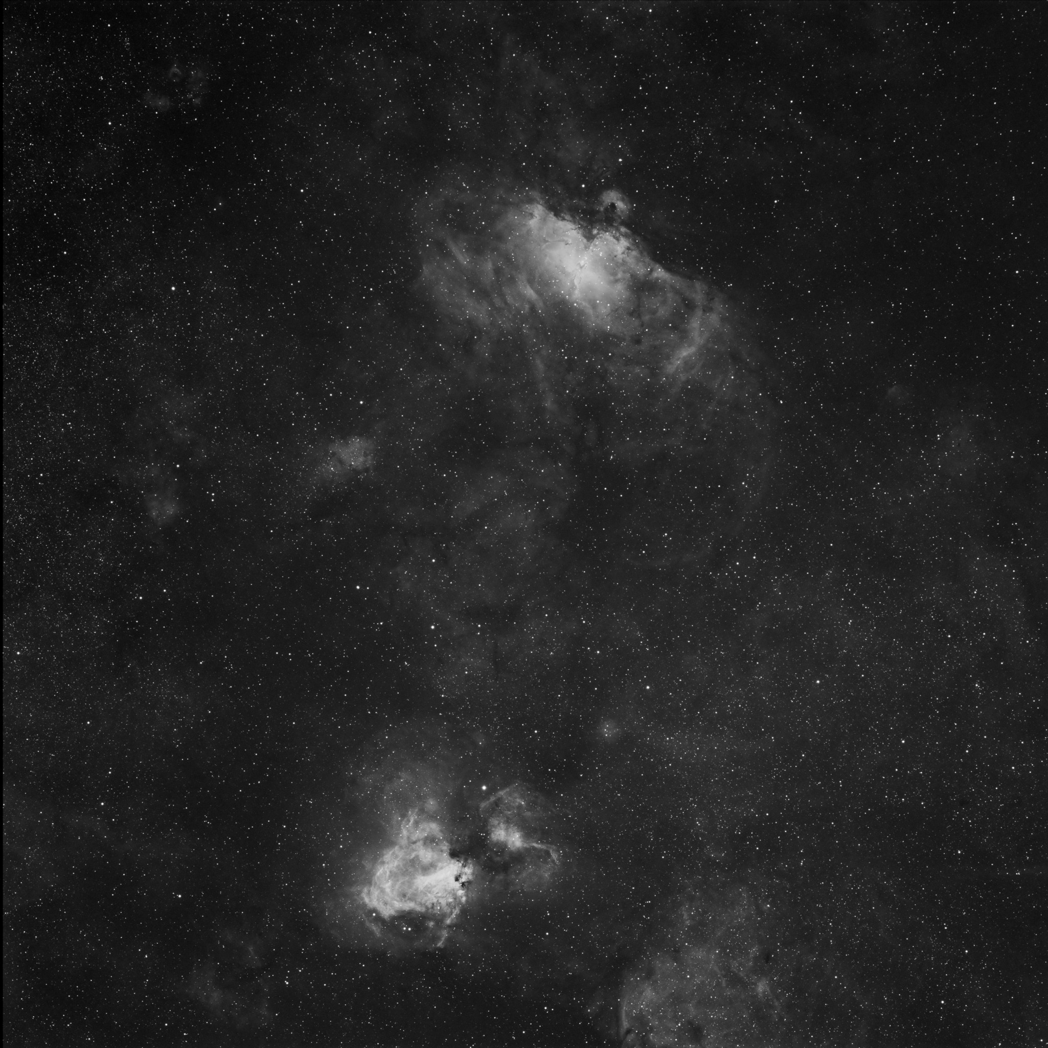 Eagle and Swan in Ha