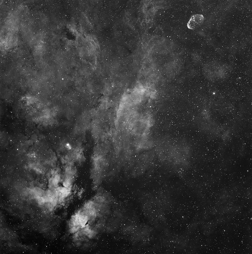 IC1318 and Crescent Nebulae