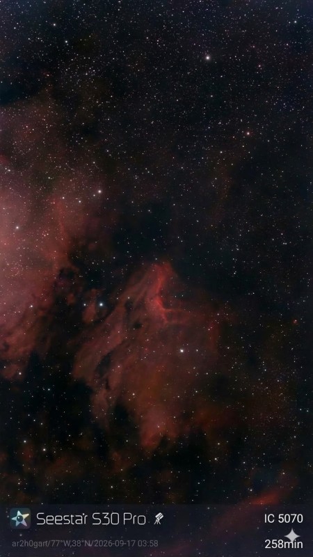 IC 5070 - Pelican Nebula