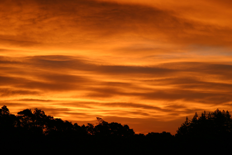 Orange Sky