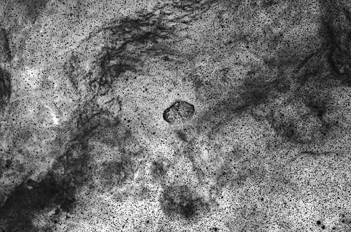 Wide-field NGC6888
