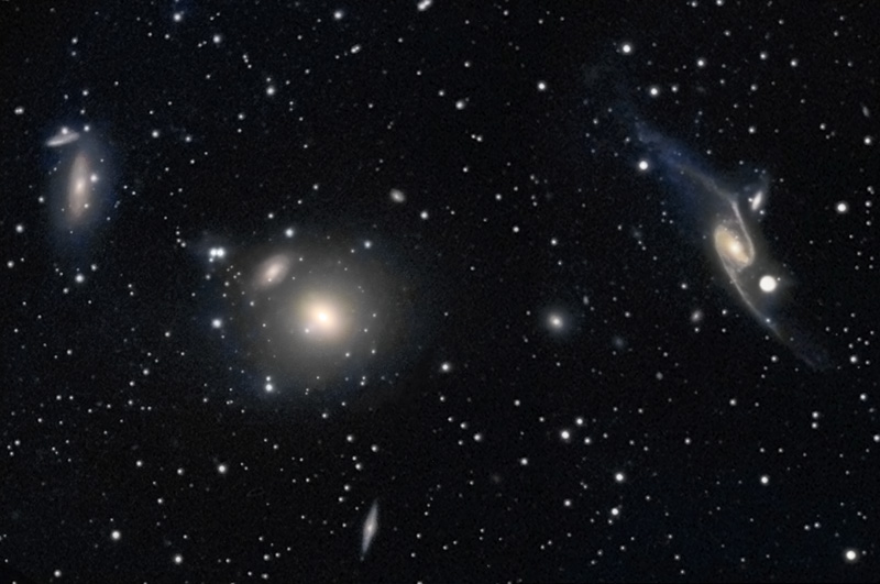 Pavo Galaxy Group