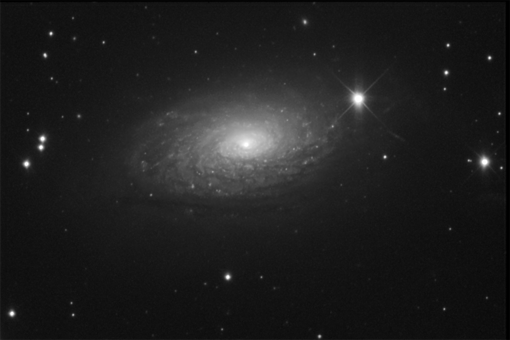 M63 The Sunflower image