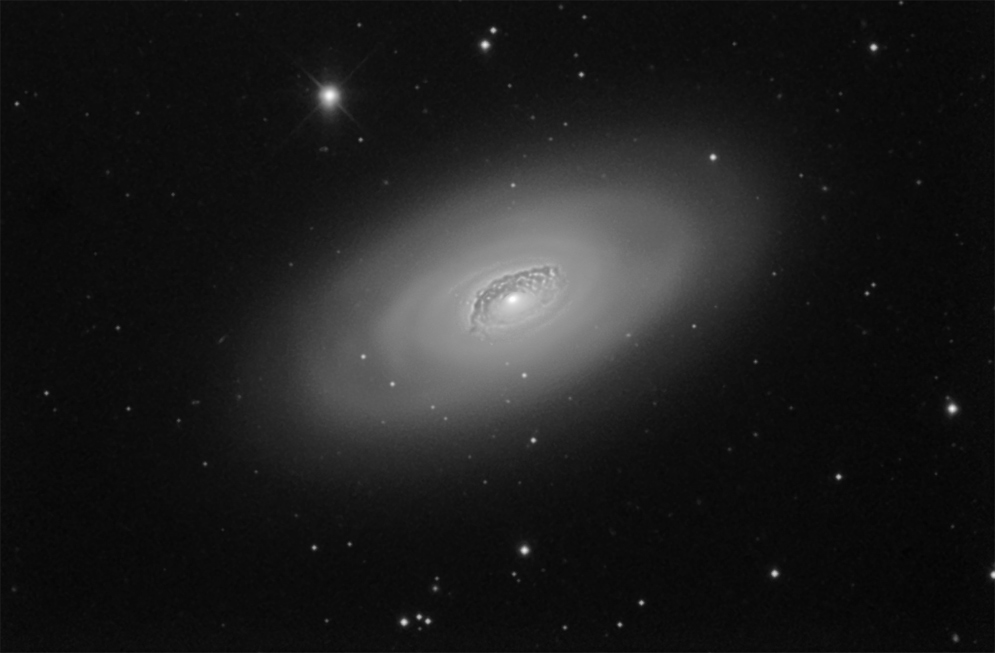 M64
