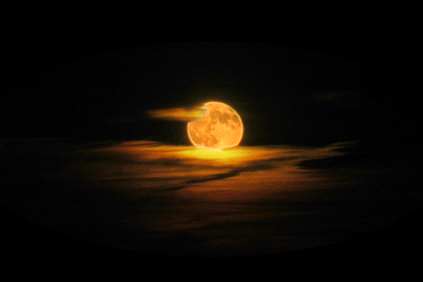 Harvest Moon 2004