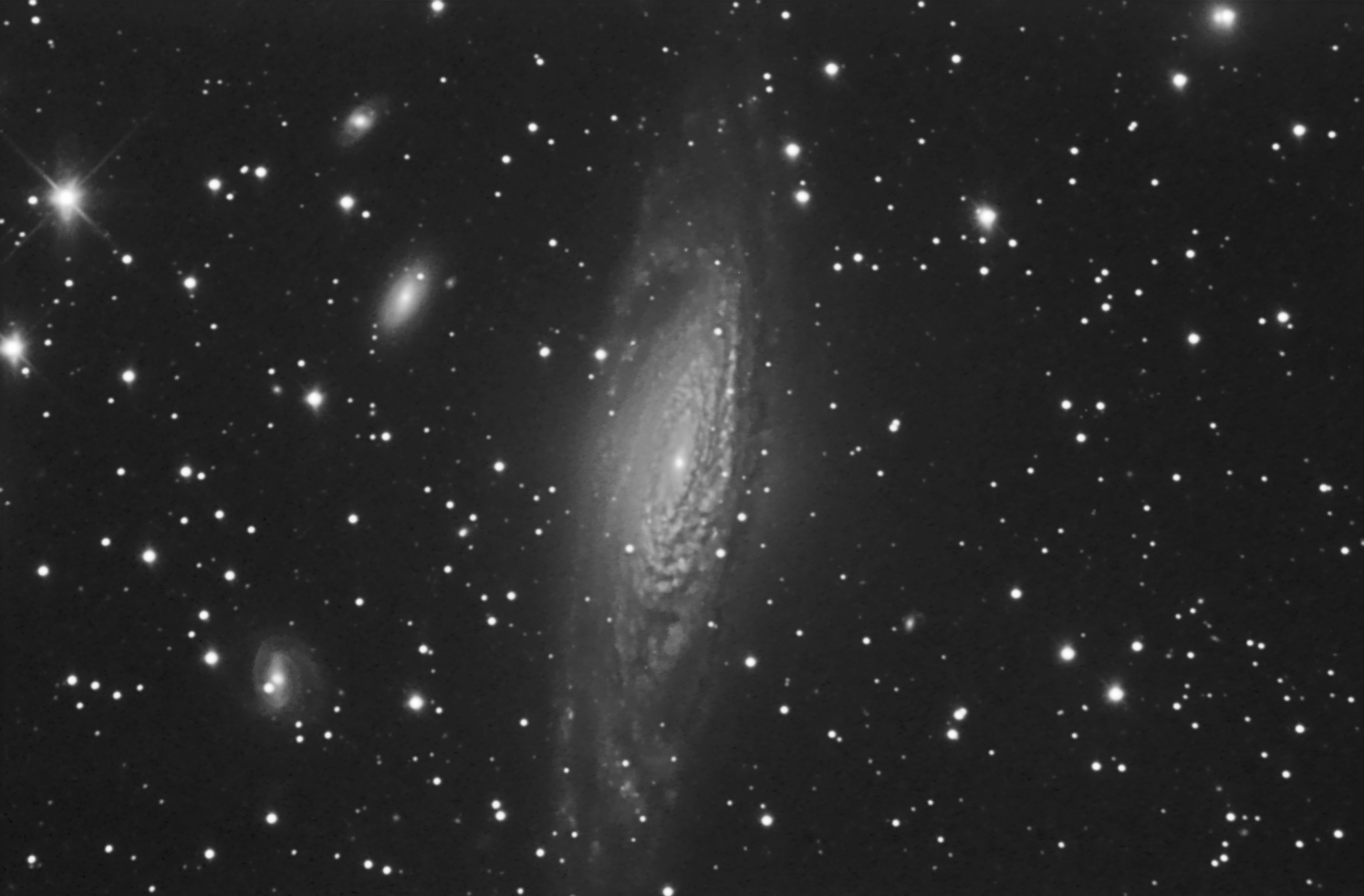 NGC7331