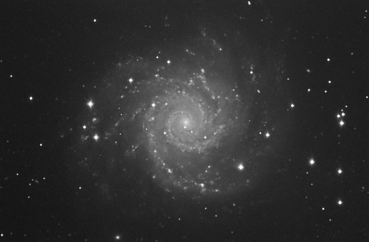 M 74