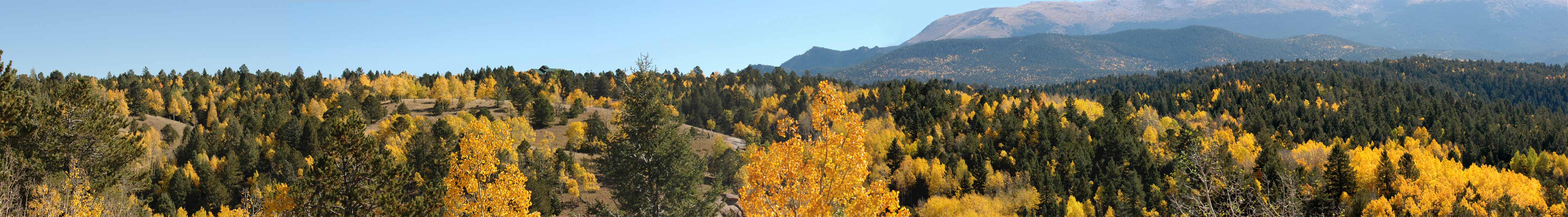 Colorado Fall Color