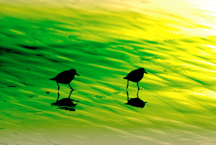 March To The Sea