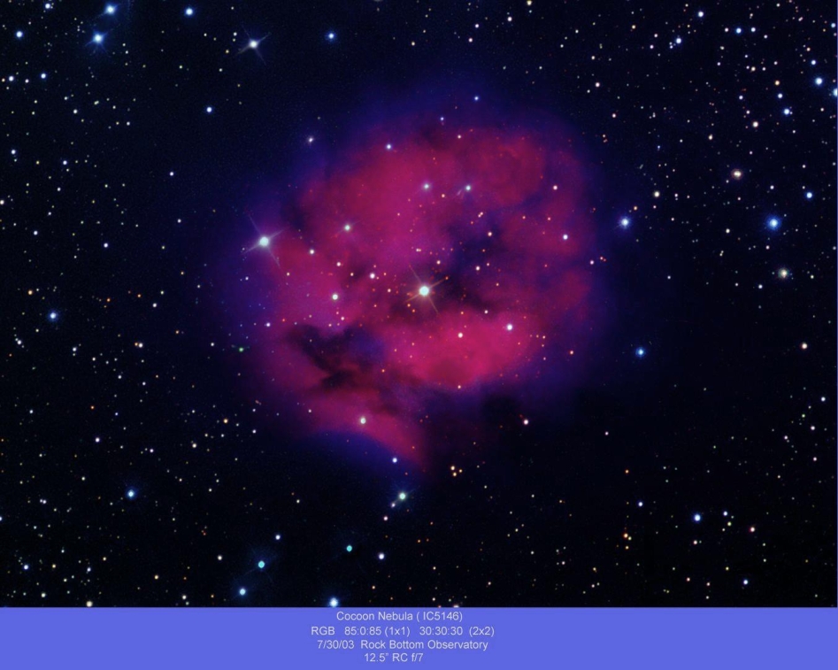 coccon (IC5146)