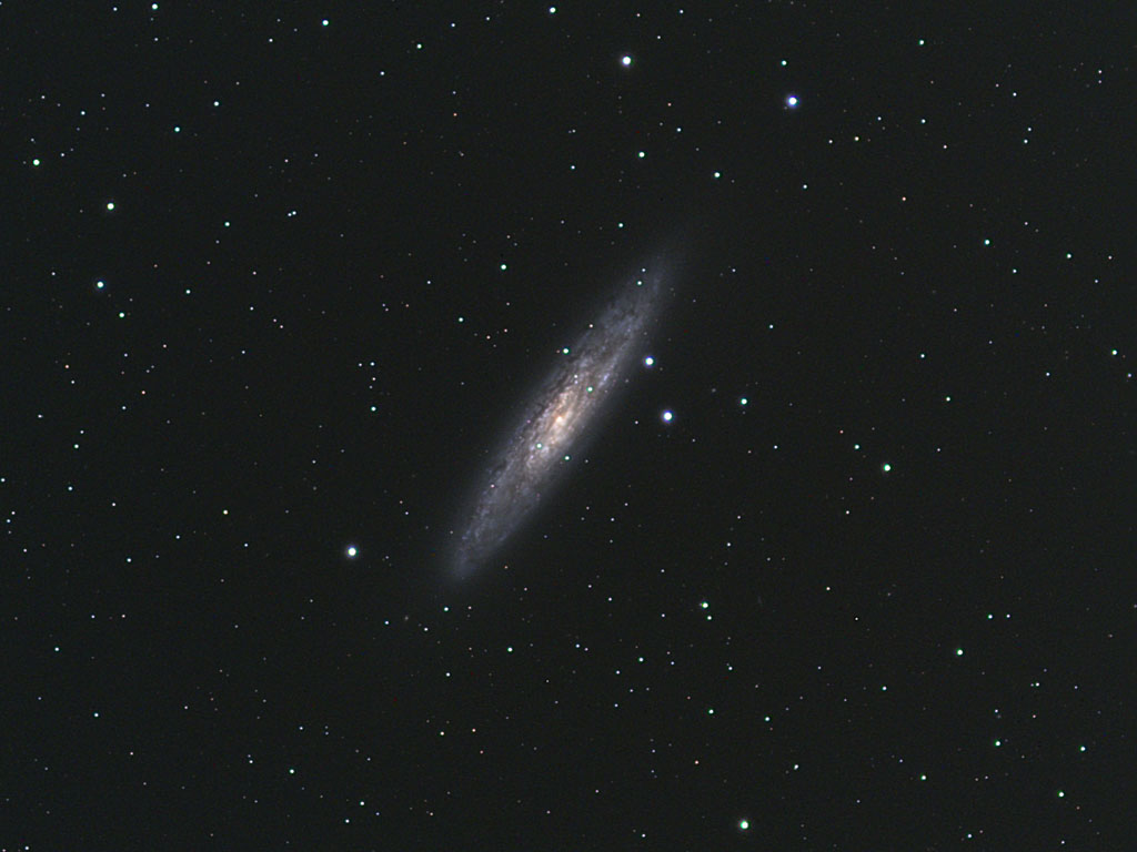 Sculptor Galaxy (NGC 253)