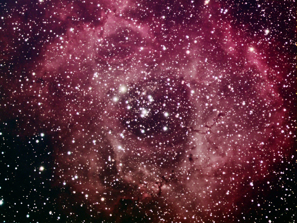 Rosette Nebula