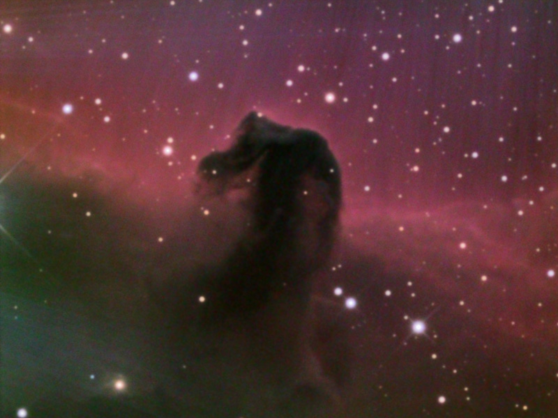 Horsehead