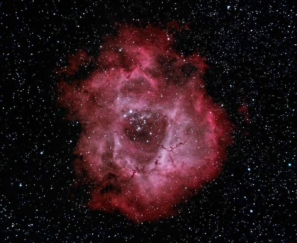 The Rosette Nebula
