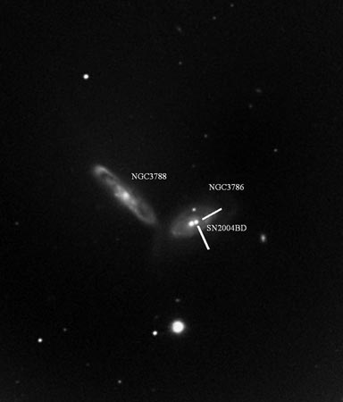 SN2004BD/NGC3786/NGC3788