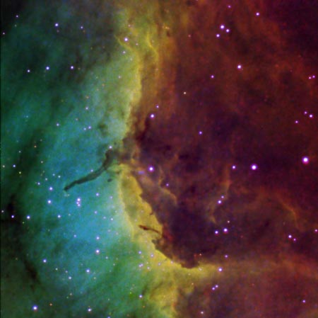 Pelicans Neck in Mapped Color