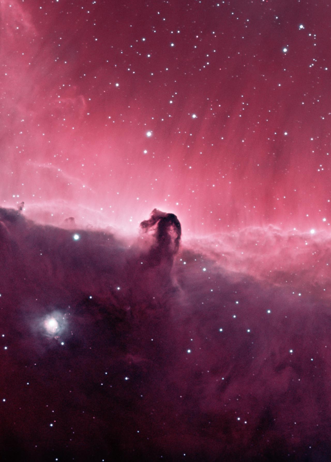 Horsehead