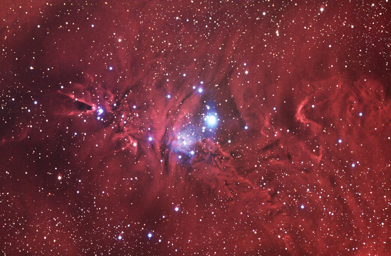 Christmas Tree Cluster