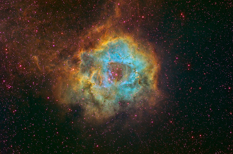 Rosette Nebula in Mapped Color