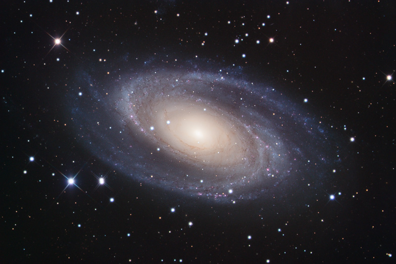 Spiral Galaxy M81