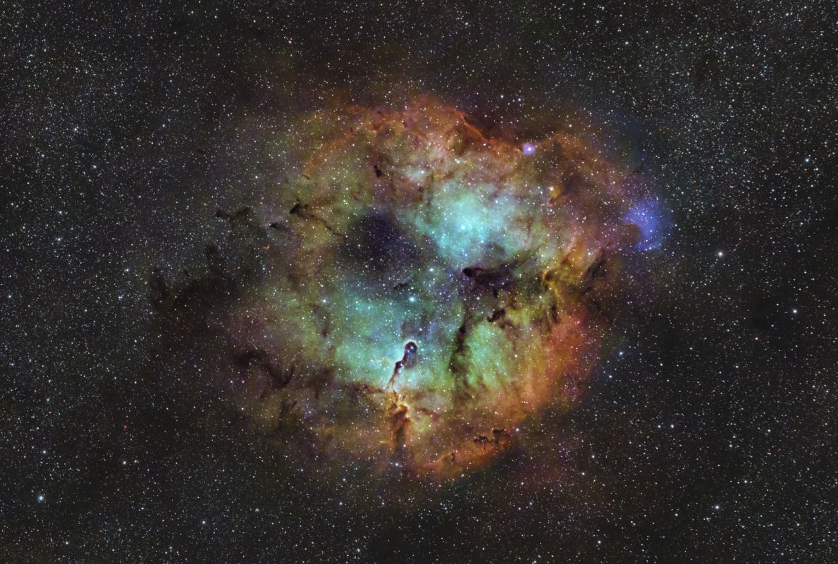 IC 1396 / Elephant Trunk Nebula