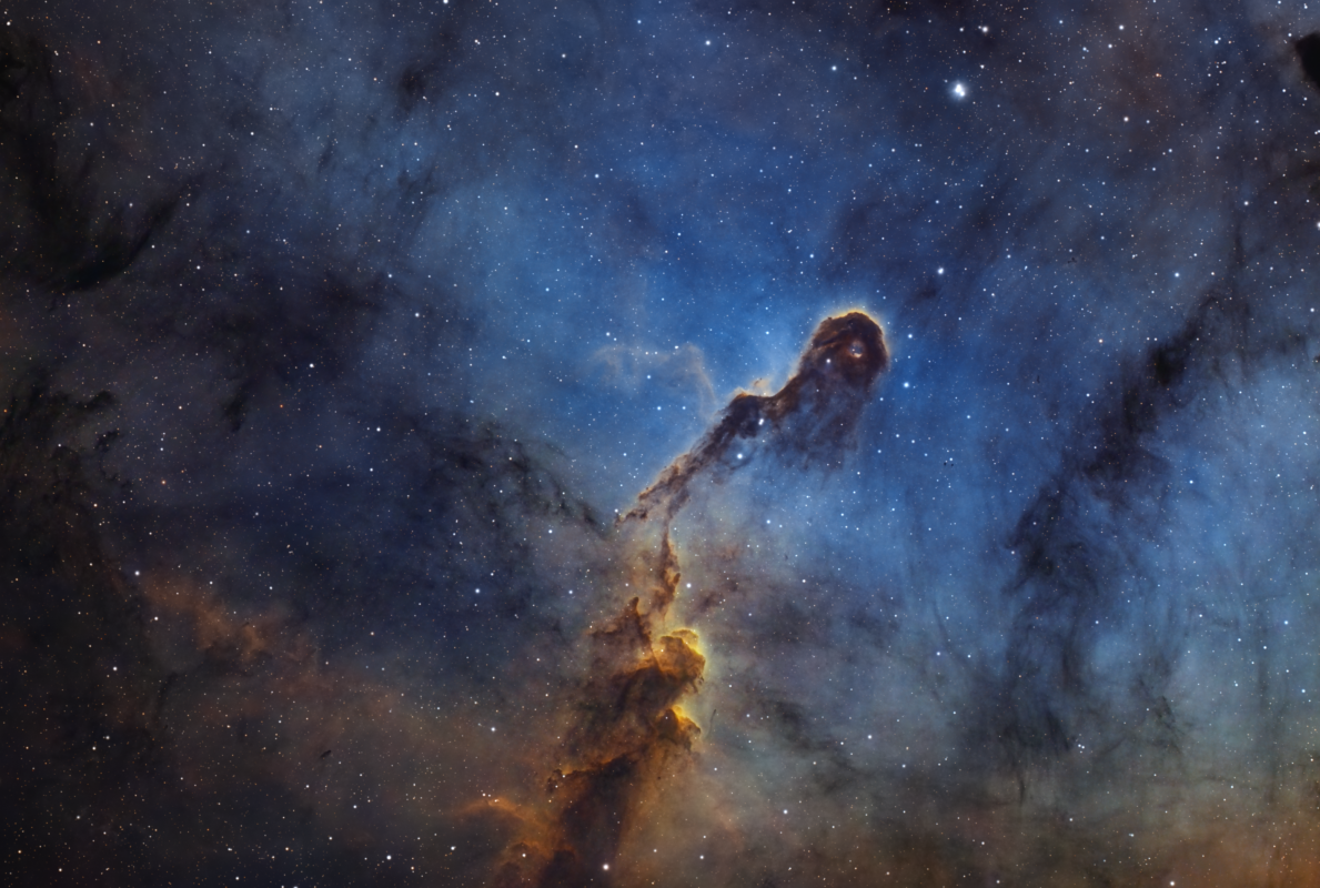 IC 1396 / ELEPHANT'S TRUNK