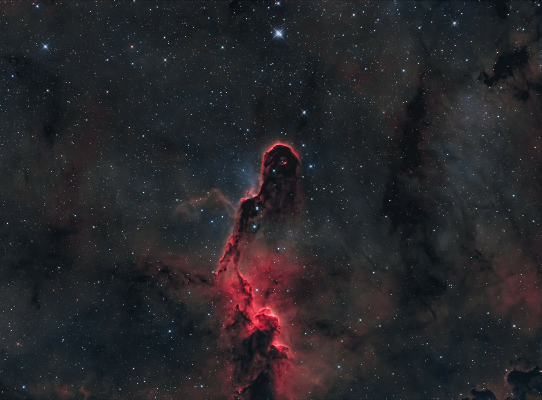 The Elephant's Trunk Nebula