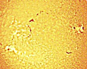 Filaments and Sunspots