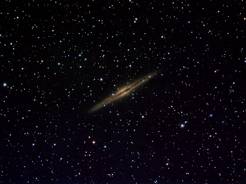 NGC891
