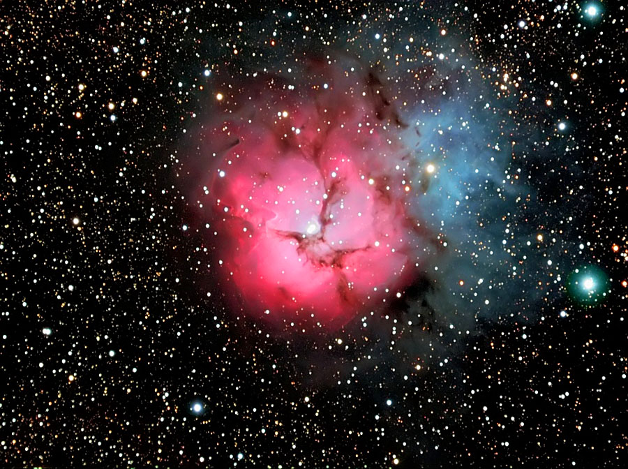 The Triffid Nebula