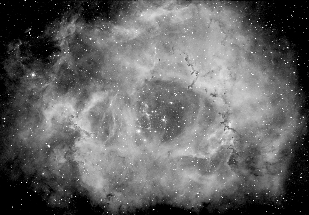 Rosette Nebula in Ha