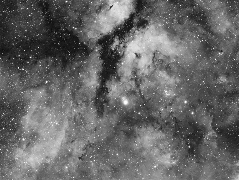 IC 1318, Gamma Cyg Nebula 