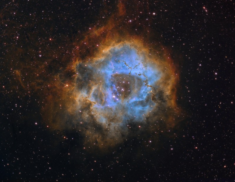 Rosette Nebula  