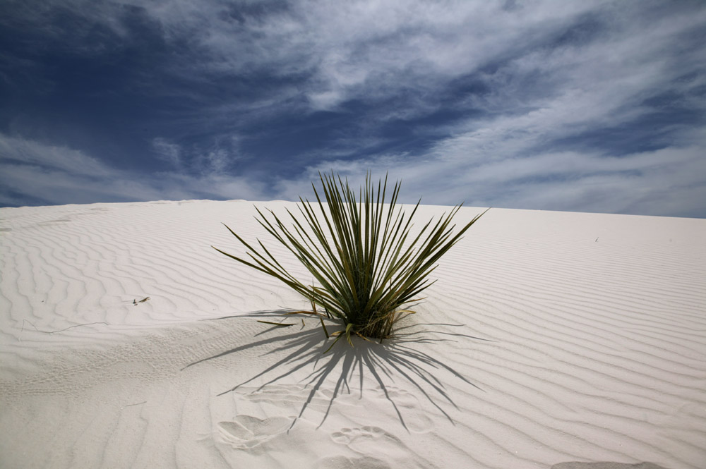 White Sands, NM