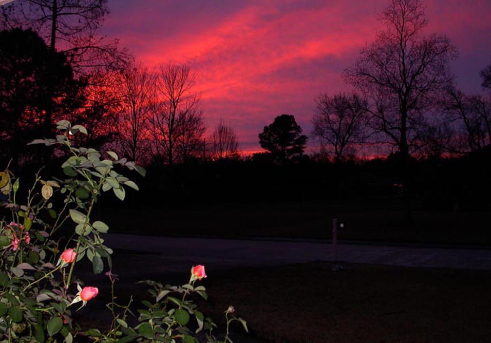 CHRISTMAS SUNRISE IN NEW ORLEANS