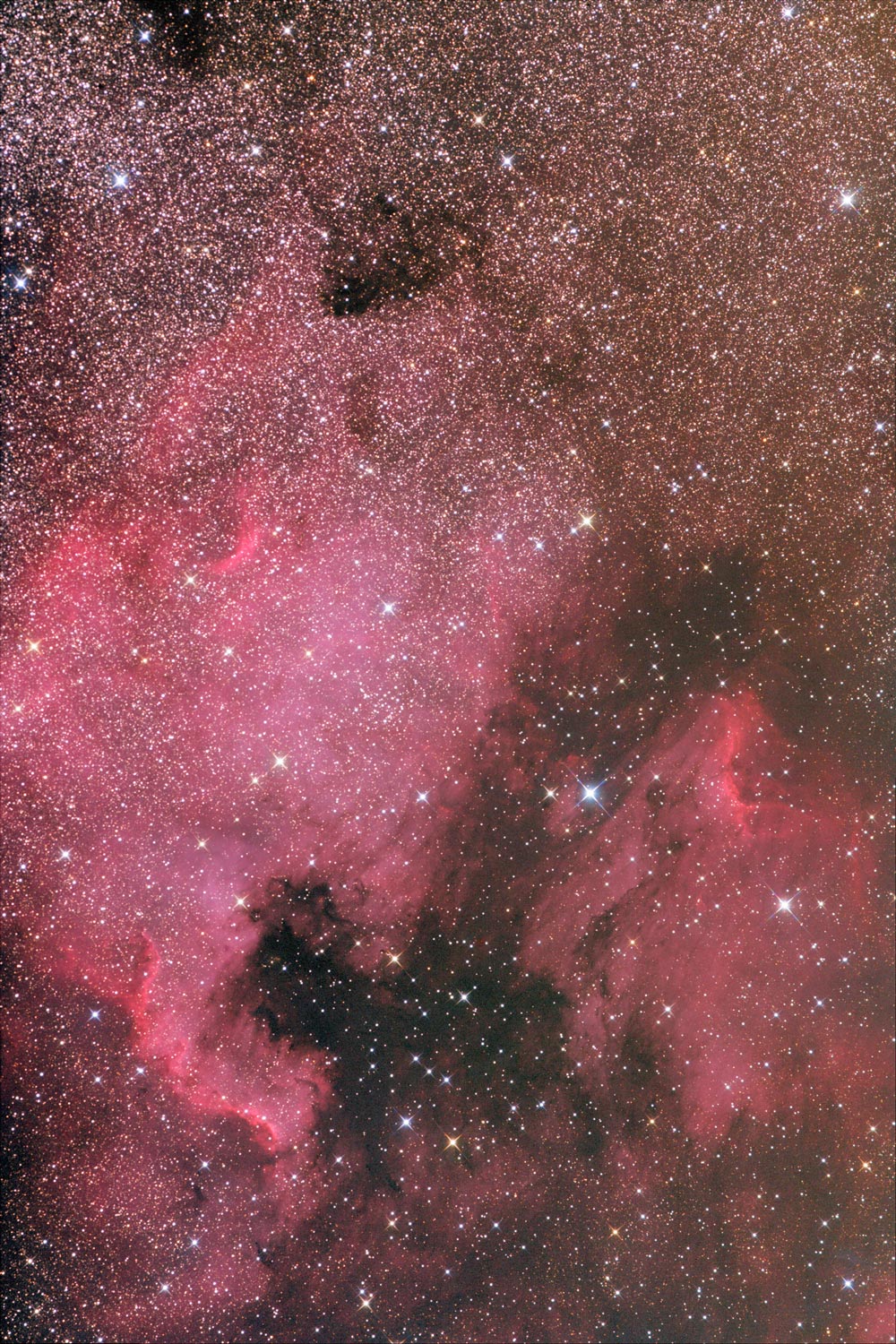 NGC 7000 & Friends
