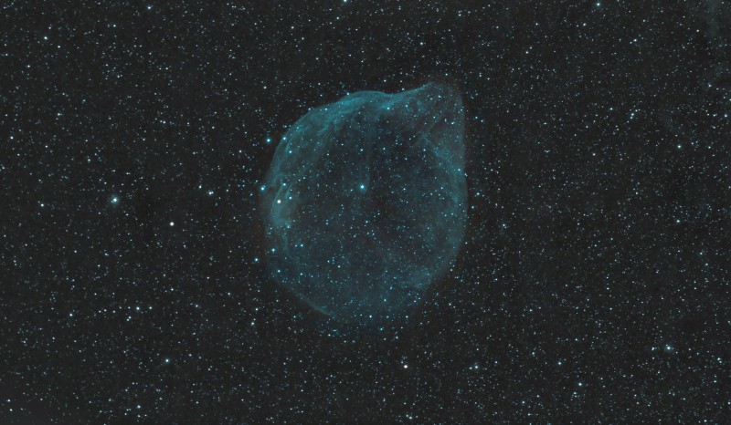 Dolphin Head Nebula