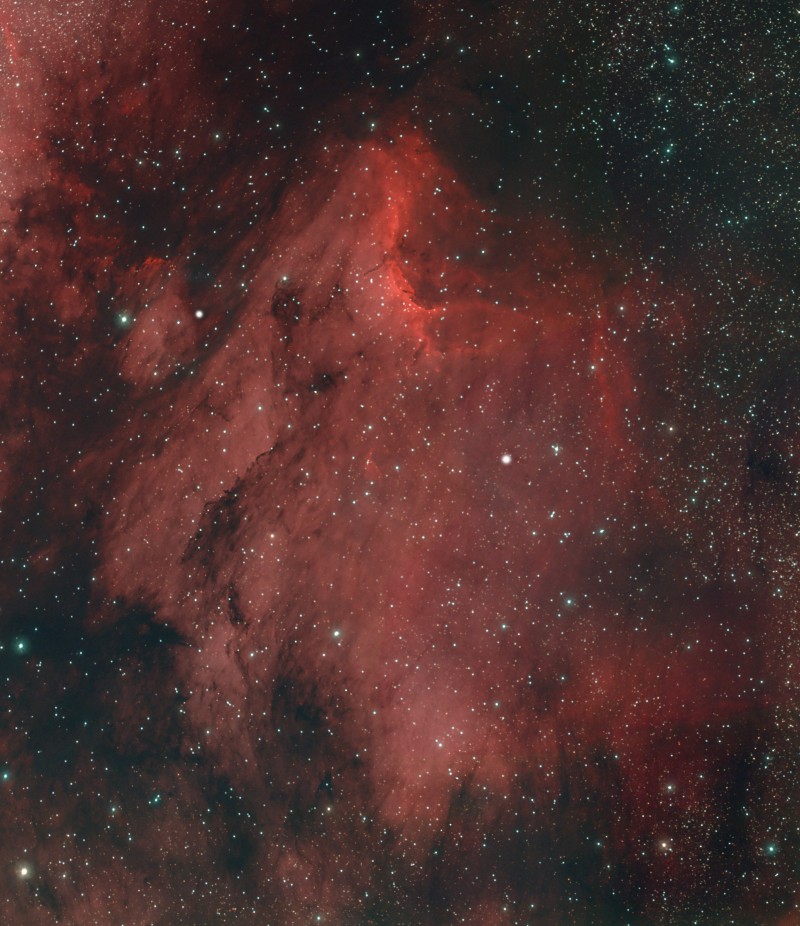 Pelican Nebula