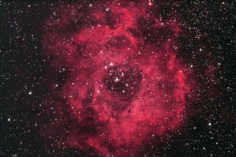 Rosette Nebula