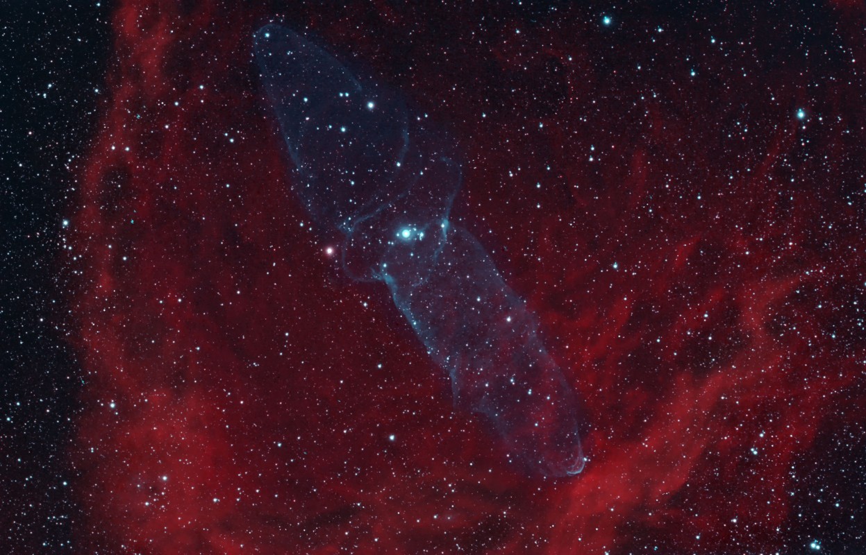 Bat and Squid Nebula