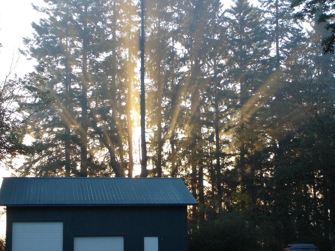 Sunrise
