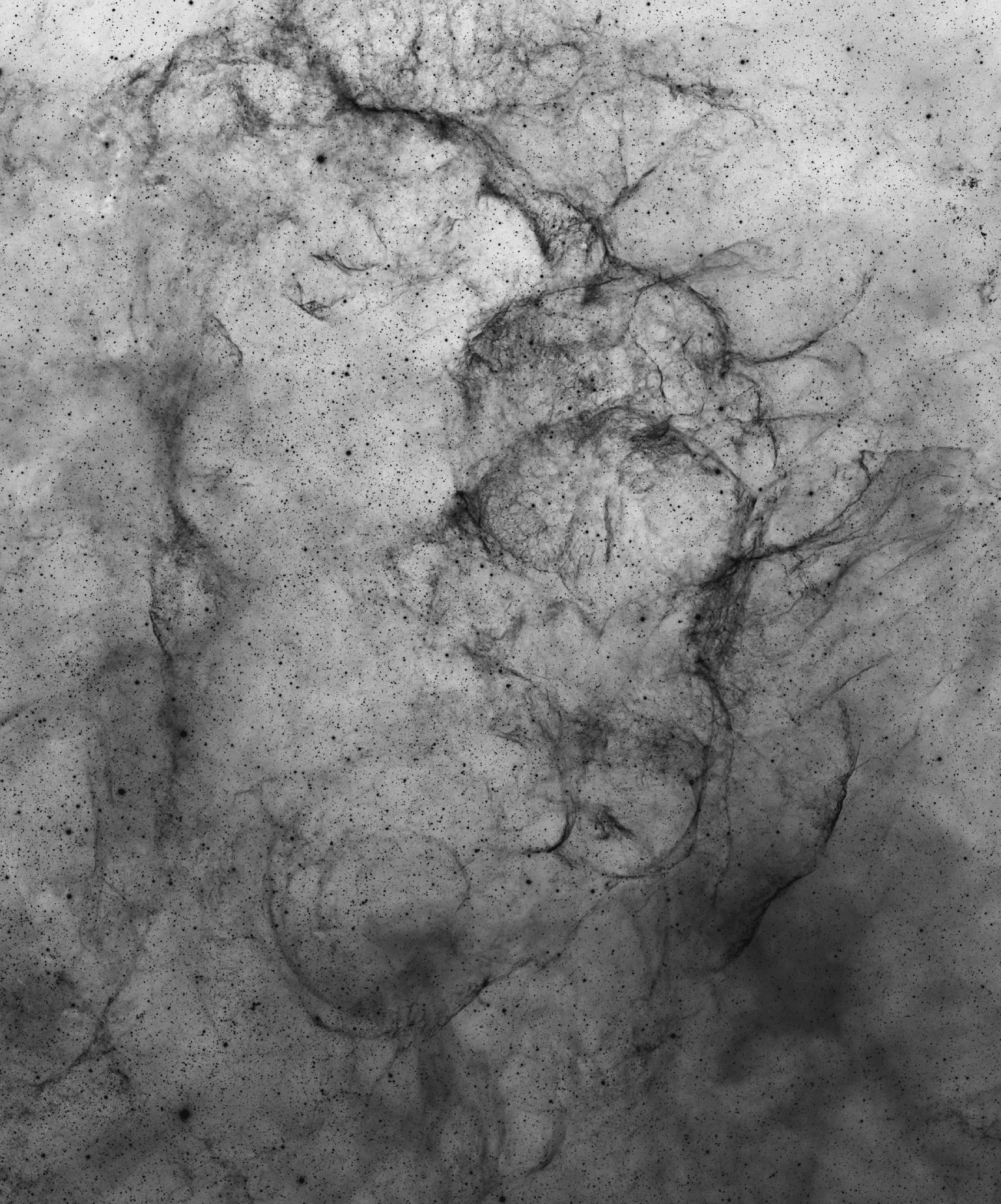 Vela SNR Negative